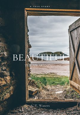 Cover image for Beautiful