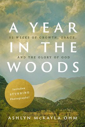 Cover image for A Year in the Woods