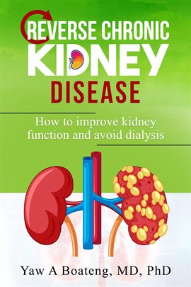 Cover image for Reverse Chronic Kidney Disease: How To Improve Kidney Function And Avoid Dialysis