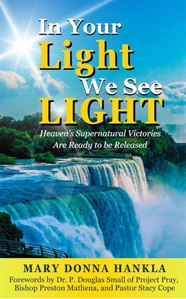 Cover image for In Your Light We See Light