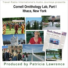 Cover image for Cornell Ornithology Lab Ithaca New York