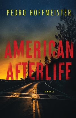 Imagen de portada para American Afterlife
