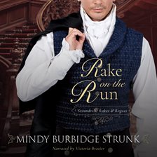 Imagen de portada para Rake on the Run