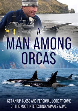 Cover image for A Man Among Orcas