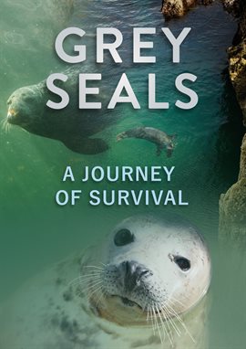 Cover image for Grey Seals, A Journey Of Survival
