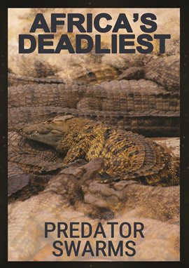 Cover image for Africa's Deadliest: Predator Swarms