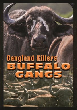 Cover image for Gangland Killers: Buffalo Gangs