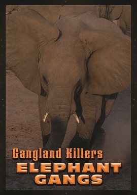 Cover image for Gangland Killers: Elephant Gangs