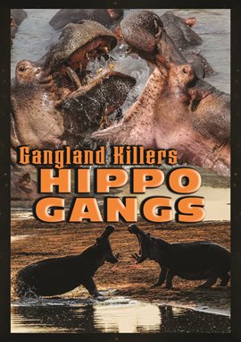 Cover image for Gangland Killers: Hippo Gangs