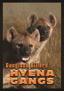Cover image for Gangland Killers: Hyena Gangs