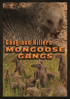 Cover image for Gangland Killers: Mongoose Gangs