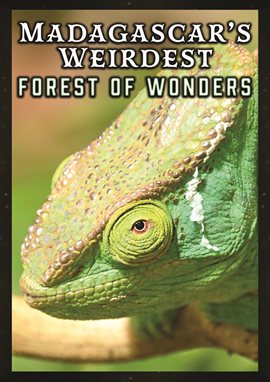 Cover image for Madagascar's Weirdest: Forests of Wonders
