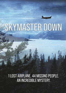 Cover image for Skymaster Down