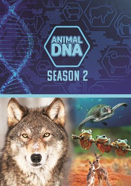 Animal DNA: Season Two Animal DNA: Season Two