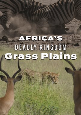 Cover image for Africa's Deadly Kingdom: Grass Plains