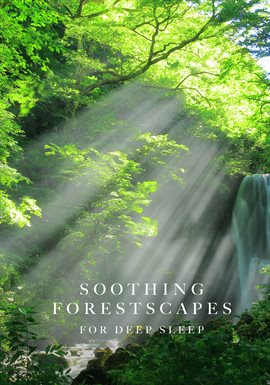 Cover image for The Love Destination Courses: Soothing Forestscapes for Deep Sleep