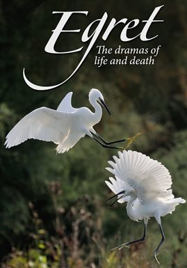 Cover image for Egret