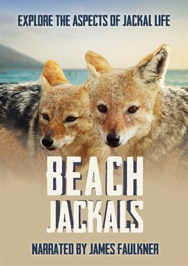 Cover image for Beach Jackals