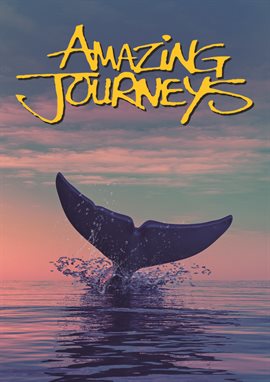 Cover image for Amazing Journeys