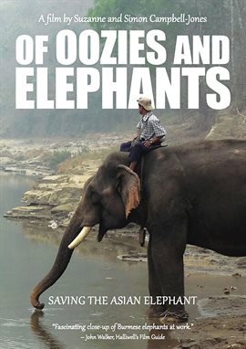 Cover image for Of Oozies and Elephants