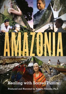 Imagen de portada para Amazonia