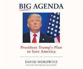 Cover image for Big Agenda