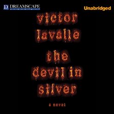 Image de couverture de The Devil in Silver