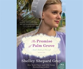 Cover image for The Promise of Palm Grove