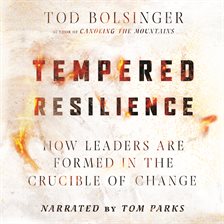 Cover image for Tempered Resilience