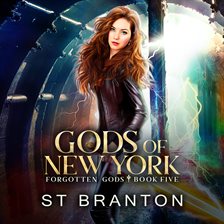 Cover image for Gods of New York