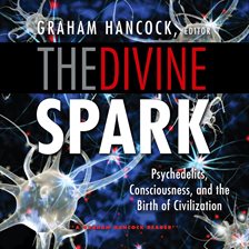 Cover image for The Divine Spark