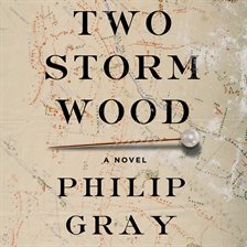 Cover image for Two Storm Wood