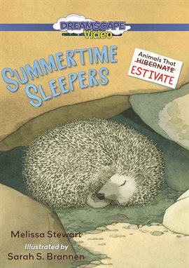 Cover image for Summertime Sleepers