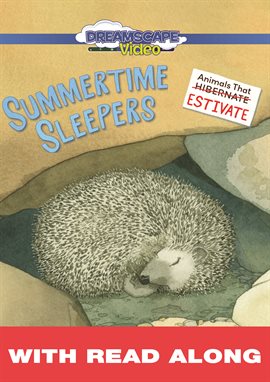 Cover image for Summertime Sleepers (Read Along)