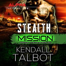 Cover image for Stealth Mission