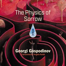 Cover image for The Physics of Sorrow