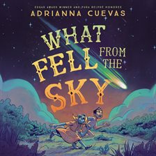 Imagen de portada para What Fell From the Sky