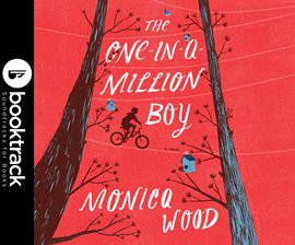 Cover image for The One-in-a-Million Boy