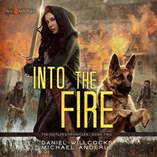 Cover image for Into the Fire