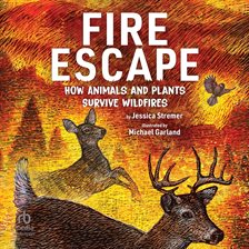 Fire Escape