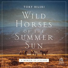 Wild Horses of the Summer Sun