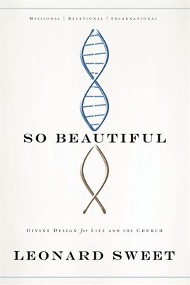 Cover image for So Beautiful