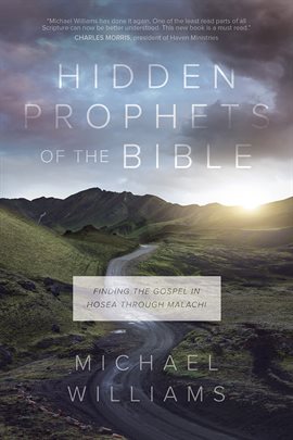 Cover image for Hidden Prophets of the Bible