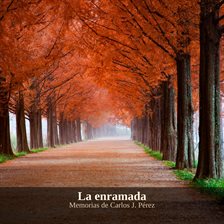 La enramada