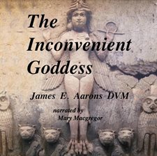 Imagen de portada para The Inconvenient Goddess