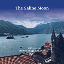 Cover image for The Saline Moon