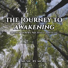 Cover image for The Journey to Awakening