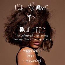 Cover image for The Flaws in Our Teen