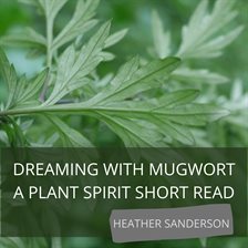 Cover image for Dreaming With Mugwort