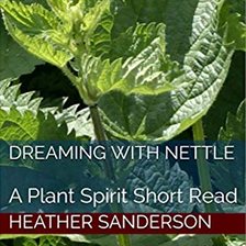 Cover image for Dreaming with Nettle
